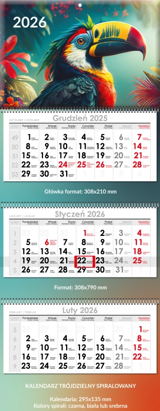 Trójdzielny Spiralowany